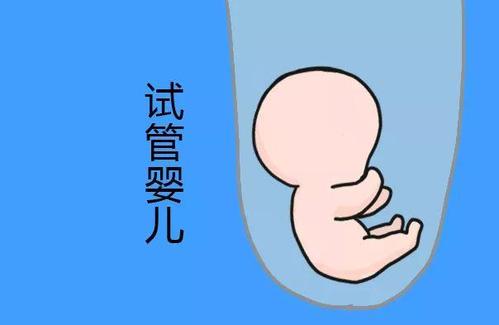 主任